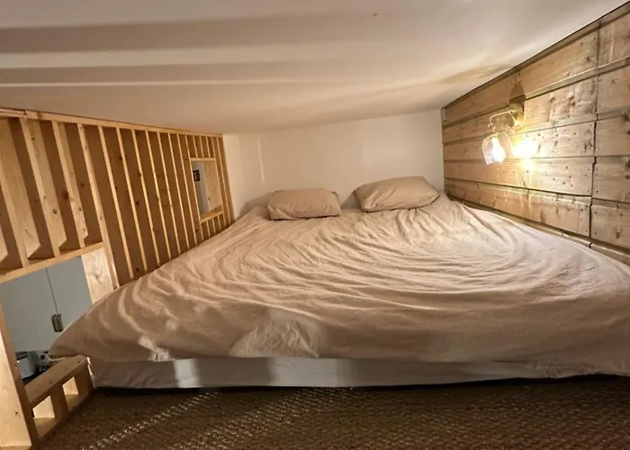 Appartement Avec Mezzanine *